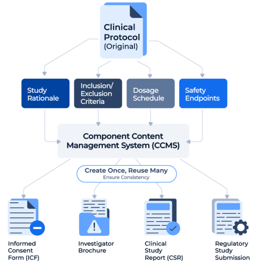 structured-content-infographic