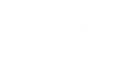 Dutch Safety Board logo