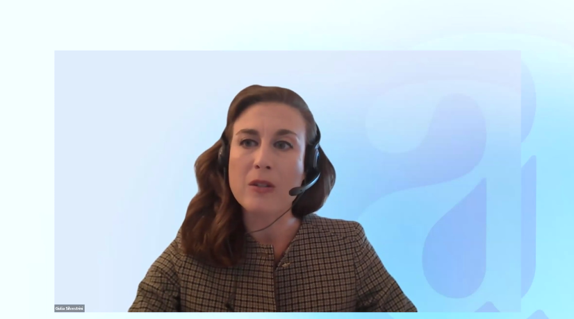 When Language Is a Public Service