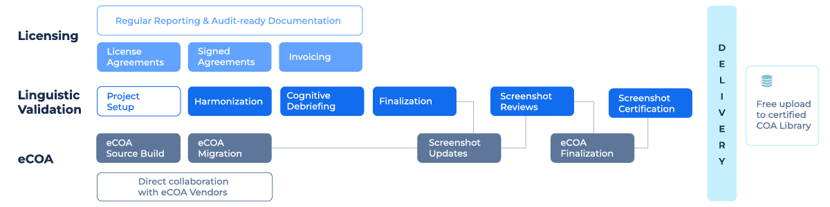 COA Linguistic Validation Workflow